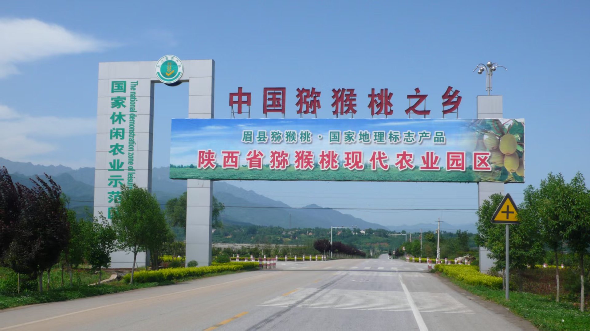 陕西猕猴桃园